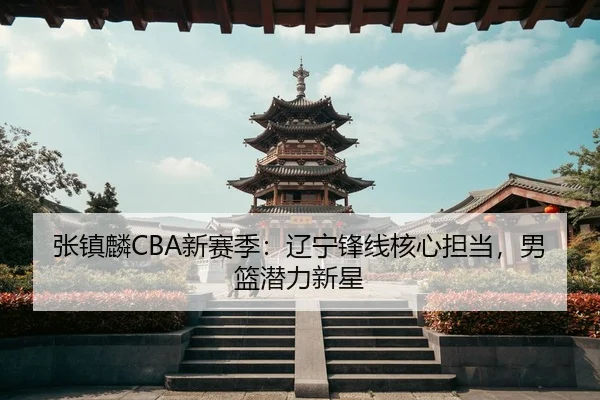 zhang-zhen-lin-xin-sai-ji-liao-ning-feng-xian-he-xin-dan-dang-nan-lan-qian-li-xin-xing-3-380.jpg