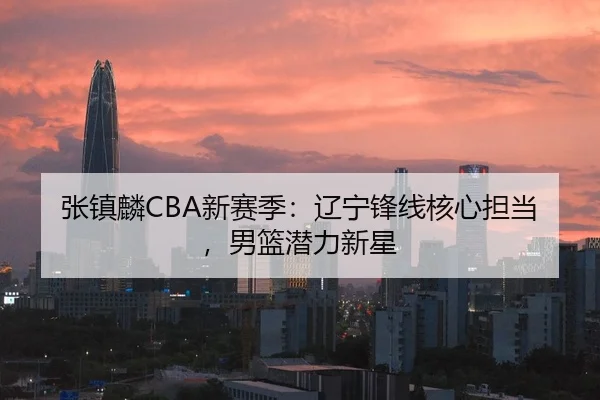 张镇麟CBA新赛季：辽宁锋线核心担当，男篮潜力新星