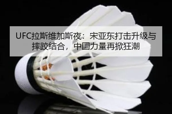 UFC拉斯维加斯夜：宋亚东打击升级与摔跤结合，中国力量再掀狂潮
